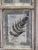 Decorative Panel with Framed Botanical Composition, 1920s For Sale - Image 10 of 14