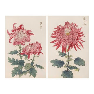 Pink Chrysanthemum Diptych, Vintage Japanese Botanical Art Print (Set of 2), 36" X 54" For Sale