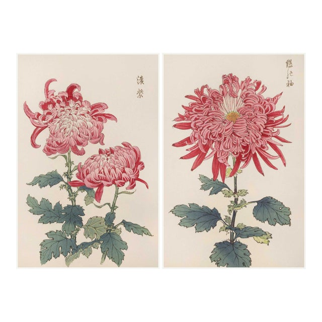 Pink Chrysanthemum Diptych, Vintage Japanese Botanical Art Print (Set of 2), 36" X 54" For Sale