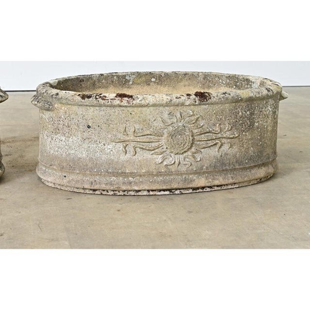 English Pair of 1920s Oval Cast Stone Planters For Sale - Image 10 of 11