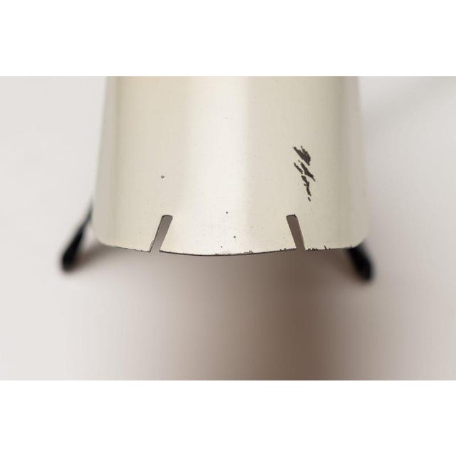 French Dog Lamp by Jean Boris Lacroix for Disderot, 1950 For Sale - Image 14 of 18