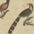 Paper Bertuch, Eight Cuckoos from Around the World, 1805, Print For Sale - Image 7 of 12