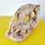 Stone Feline with Cubs Figurine in Marble For Sale - Image 7 of 12