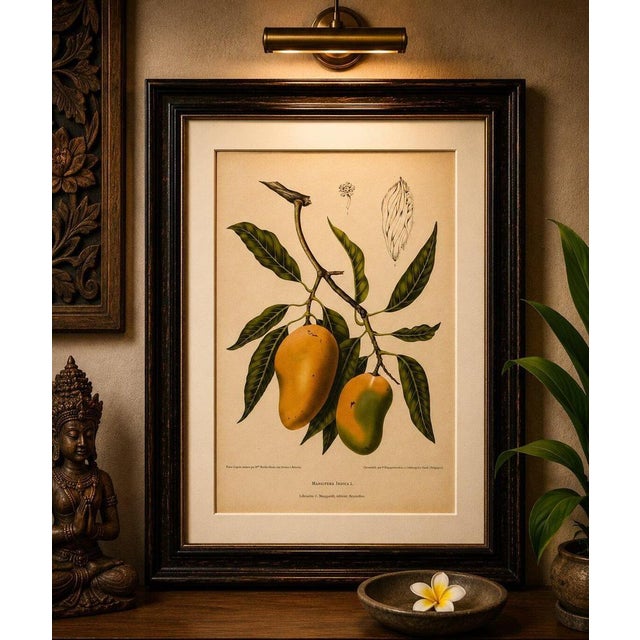 Title: antique mango botanical chromolithograph by hoola van nooten, c. 1880 : a magnificent original antique botanical...