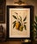 Title: antique mango botanical chromolithograph by hoola van nooten, c. 1880 : a magnificent original antique botanical...