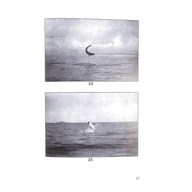 Paper "Tarpon Fishing in Mexico and Florida" 1998 Spencer-Churchill, Edward George & Rice, John For Sale - Image 7 of 8