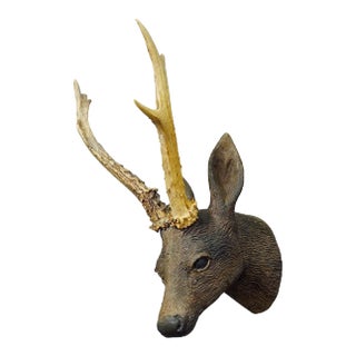 Great Antique Black Forest Plaster Deer Head Ca. 1900s For Sale