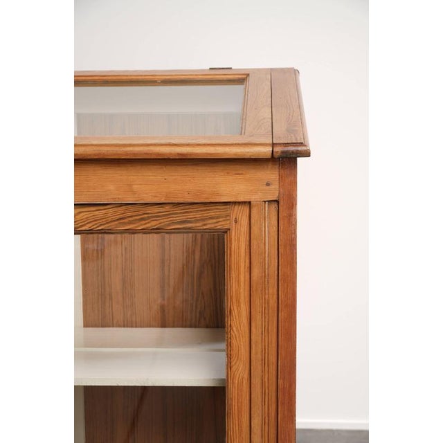Vintage Museum Cabinet with Doors and Removable Shelves For Sale - Image 9 of 16