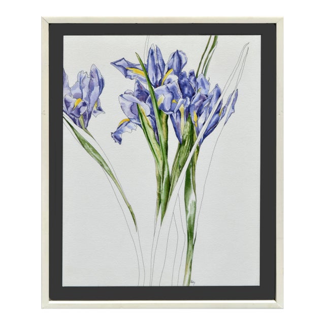 Purple Iris For Sale