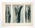 Antique Botanical Blossfeldt Print - No. 10 For Sale In Los Angeles - Image 6 of 6