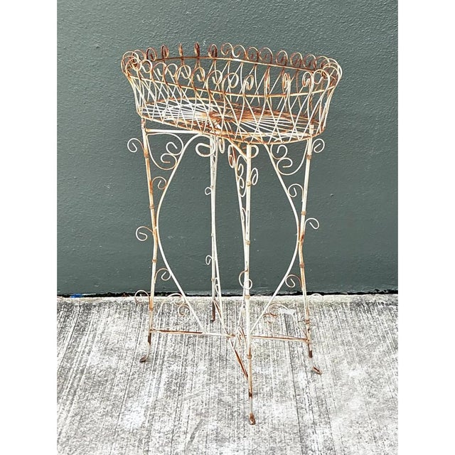 Early 20th Century Vintage Scrollwork Iron Plant Holder For Sale - Image 5 of 12