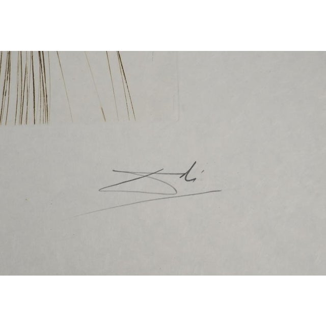 Salvador dali (1904-1989) the queen in a silk tunic, 1970 original engraving (rigal workshop) signed in pencil numbered...