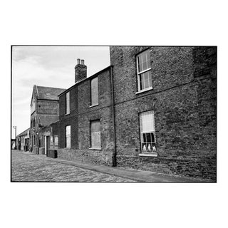 Paul Cooklin, Cats in Window, Edition of 50 For Sale