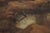 Framed Oil on Canvas Painting Wwi No Mans Land - Signed For Sale - Image 4 of 12