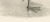 After Lilian Medland, Grey Goose, 1909, Print For Sale - Image 4 of 7