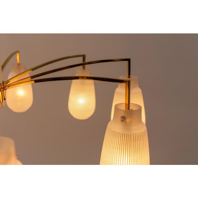 Mid-Century Modern Nine-Armed Brass and Glass Sputnik Lamp, 1950 For Sale - Image 10 of 13