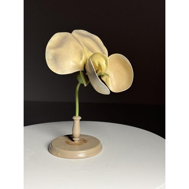 German Botanical Flower Model, 1900 For Sale - Image 18 of 18