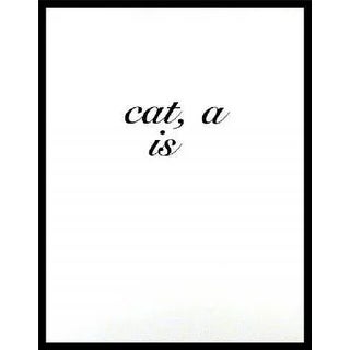 Diana Thater cat, a is, 1996 For Sale