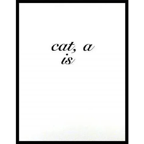 Diana Thater cat, a is, 1996 For Sale