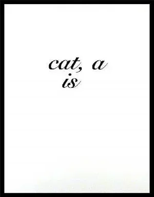 Diana Thater cat, a is, 1996