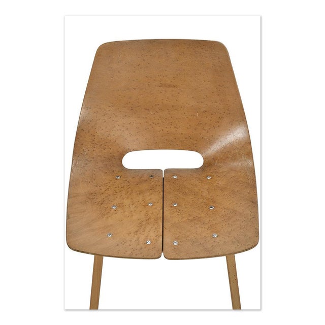 Set of Chairs by Pierre Guariche For Sale - Image 5 of 6