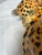 Lynn Chase Jaguar Jungle Covered Jar For Sale - Image 11 of 12