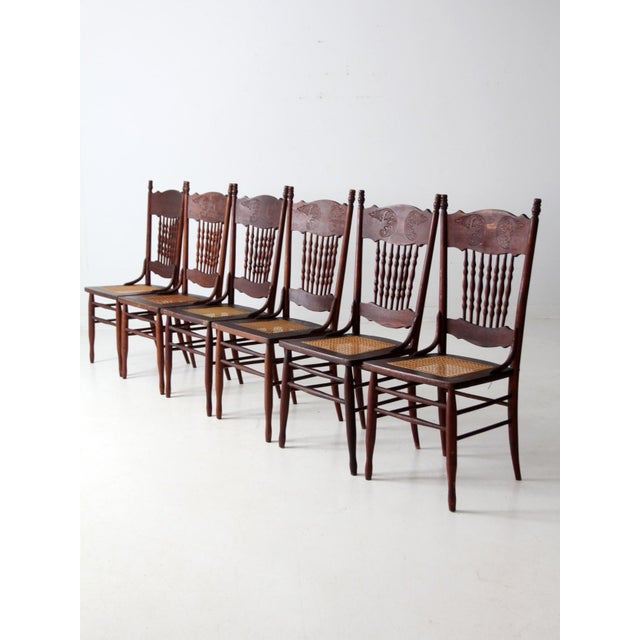 Antique Press Back Dining Chairs Set of 4 For Sale - Image 4 of 16