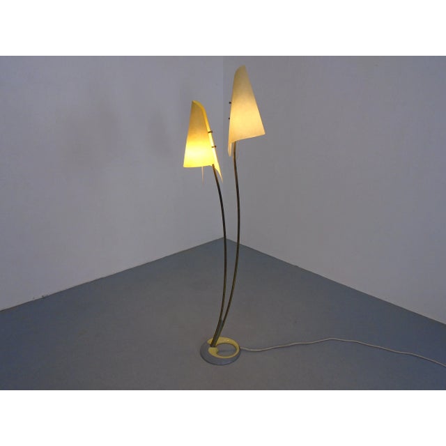 Fiberglass & Brass Floor Lamp by Carl Auböck for Dame & Co. Neheim, Germany, 1950s For Sale - Image 15 of 18