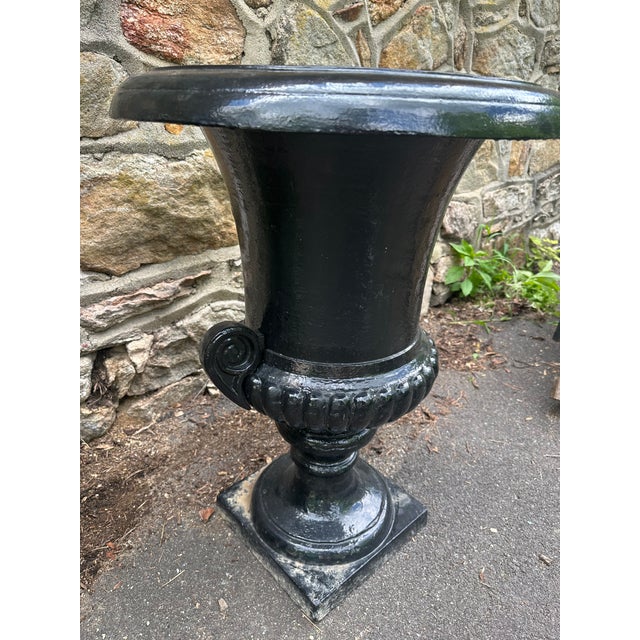 Late 20th Century Cast Iron Haddo House Urn in the Style of William Adam of Scotland For Sale In Philadelphia - Image 6 of 14