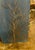 What a fun realistic and quality made pine tree branch wall decoration with a fabulous bark finish and pointy gold pained...
