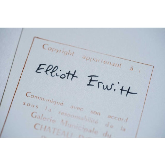 Elliott Erwitt, New York City, 1953, Gelatin Silver Print For Sale - Image 5 of 8