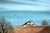 Barn in Autumn - Small Country Landscape With Tree by M. Lemieux For Sale - Image 4 of 8