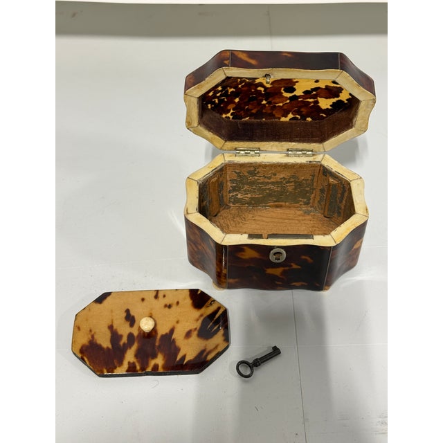 Dutch Regency Tortoiseshell Tea Caddy, Circa 1820 For Sale - Image 9 of 10