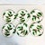 These are a sophisticated set of six Holly and Berry Christmas Salad Plates from Restoration Hardware. The Holly branch...