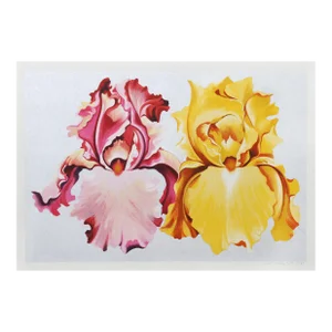 Pink and Yellow Irises, Lowell Blair Nesbitt, Screeprint