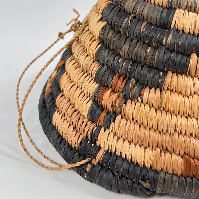 Early 20th Century Botswana Basket 8inch MATTER COLLECTION For Sale - Image 4 of 6