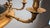 Black Large Italian Empire Style Chandelier with Tôle and Gilt Bronze Details, 1940s For Sale - Image 8 of 17