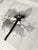 Ugne Pouwell, Poppy No.11, 2025, Black and White Floral Photography, Limited Edition of 2/20 For Sale - Image 4 of 8