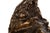 Italian Antique Bronze Sculpture “Flight From Egypt” (1892) Ernesto Bazzaro For Sale - Image 11 of 18