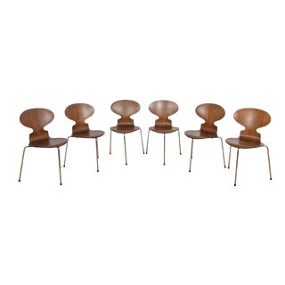 Mid-Century Model 3101 Ant Dining Chairs by Arne Jacobsen for Fritz Hansen, Denmark, 1970s, Set of 6 For Sale