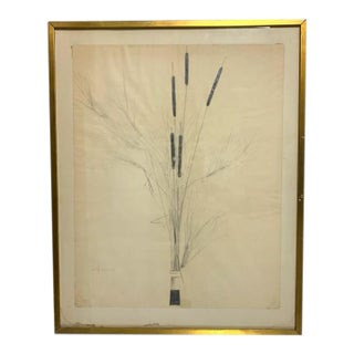 1960s Mid Century Modern Cattail Drawing by Bruce Dorfman (Am. Born 1936) For Sale