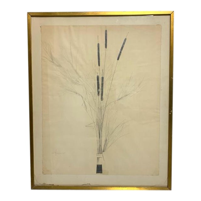 1960s Mid Century Modern Cattail Drawing by Bruce Dorfman (Am. Born 1936) For Sale