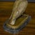 Bronze Racing Pigeon, 20th-Century For Sale - Image 9 of 14