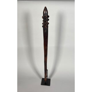 Aboriginal war club with a skull, Queensland, Australia. Oceania For Sale