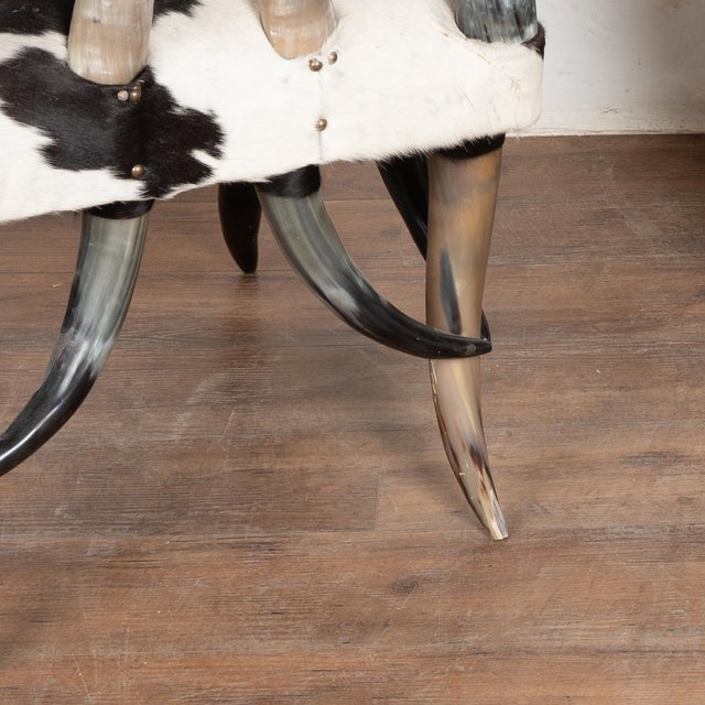 20th Century Set (5) of Horn and Hide Armchairs, Ottomans and Side Table For Sale - Image 10 of 12