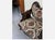 Antique Louis XV Historicism Armchair, 1890 For Sale - Image 9 of 11
