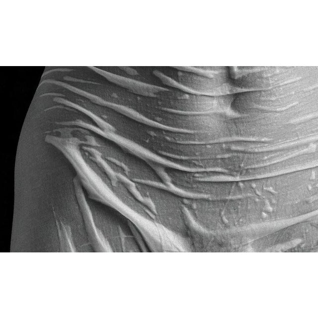 Torso - Signed limited edition archival pigment print, Edition of 5 1987 This is an Archival Pigment print on fiber based...