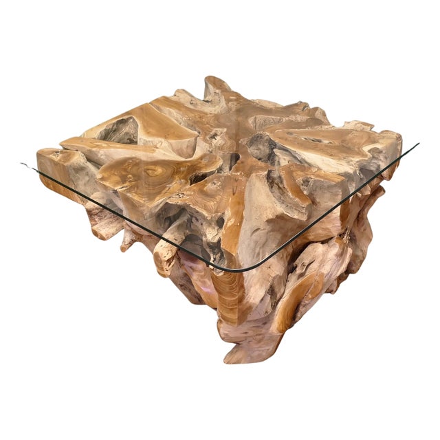 Vintage Yewwood Root Tree Coffee Table with Glass Top, 1980 For Sale