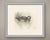 This antique bird print shows a female duck swimming with a single small duckling tucked close against her flank, the...