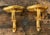Hollywood Regency Vintage Gilt Tipped Wall Brackets - A Pair For Sale - Image 3 of 12